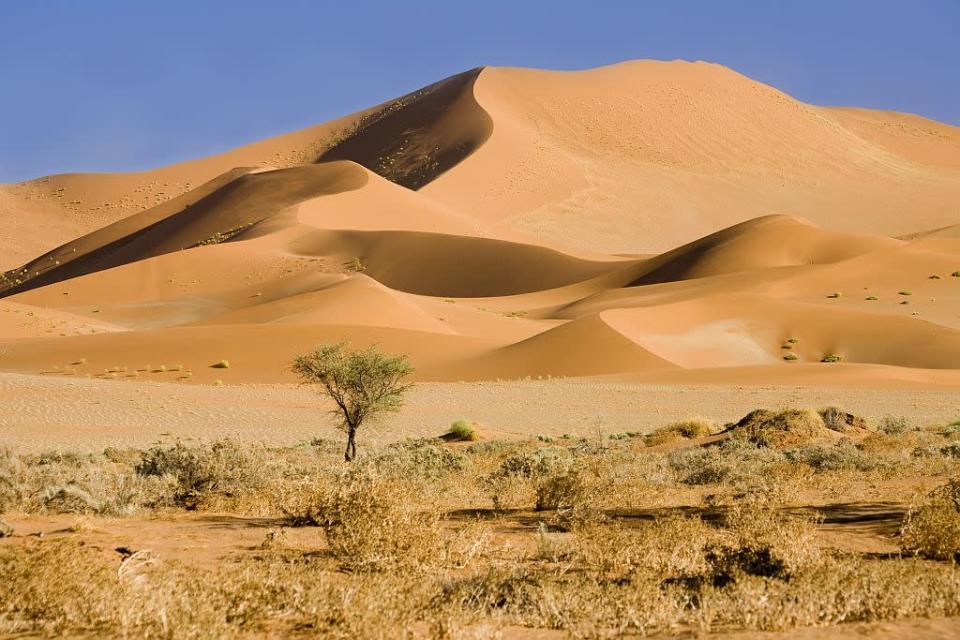 Travel Ethical Destinations Namibia