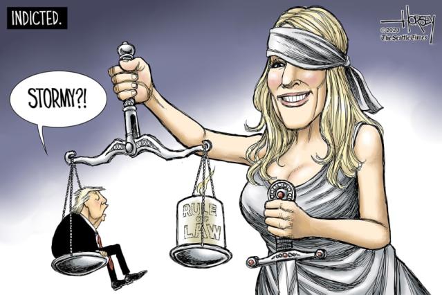 rule of law cartoon