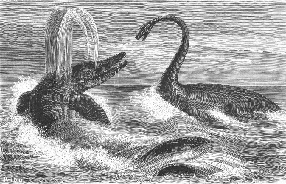 Enormous carnivorous marine reptiles such as mosasaurs and ichthyosaurs ruled the oceans during much of the Mesozoic era, and would likely have supported a deep sea community of their own. Source: Getty