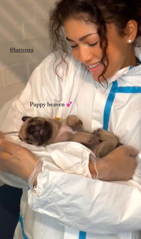 <p>Zendaya Instagram</p> Zendaya cuddles up to the adorable puppy