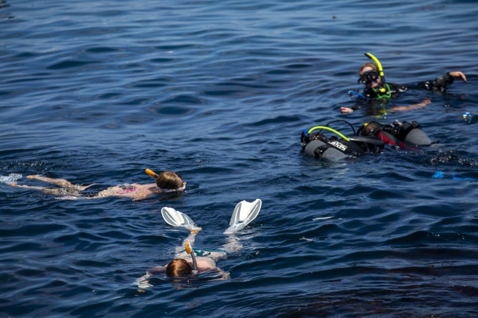 Visitors enjoy snorkeling and scuba diving lessons in Avalon.