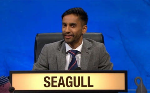 seagull - Credit: BBC