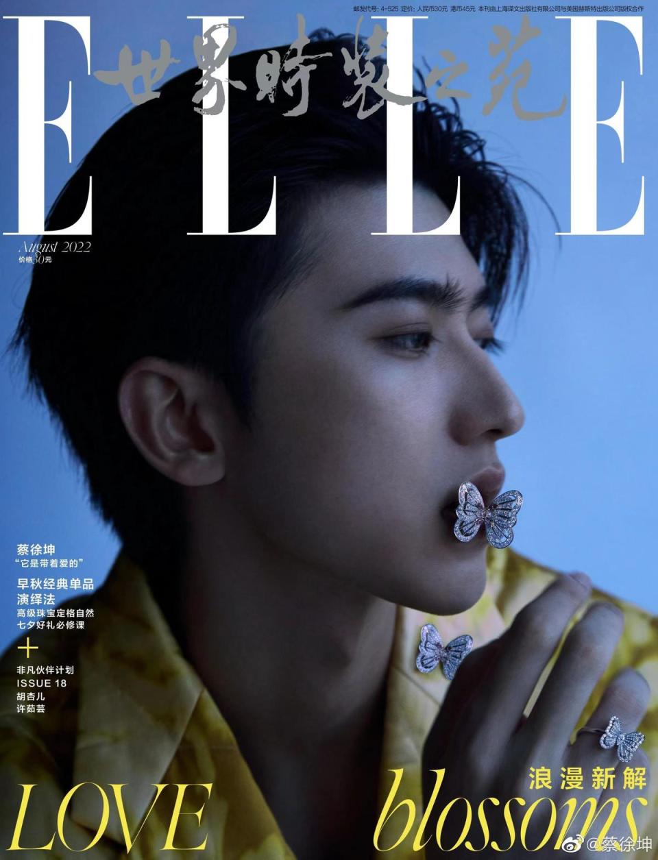 蔡徐坤是吳亦凡的接班人，能登上時尚雜誌《Elle》封面可見其人氣。（翻攝自蔡徐坤微博）