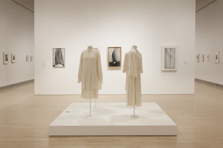 Georgia O’Keeffe: Living Modern, March 3, 2017 through July 23, 2017 (Image: DIG_E_2017_Georgia_OKeeffe_01_PS11.jpg Brooklyn Museum photograph, 2017)