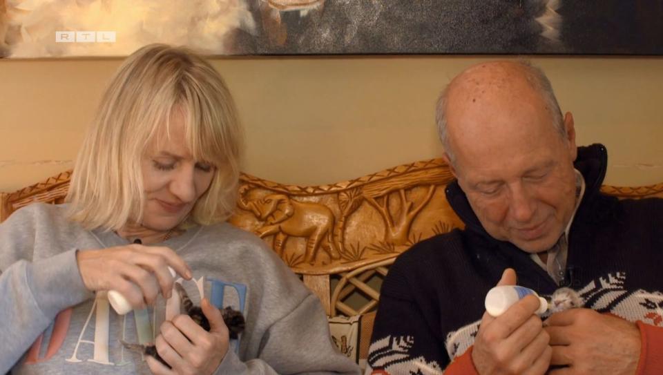 Wie süüüüß! Hans und Danielle füttern verwaiste Katzenbabys mit der Flasche. (Bild: RTL)