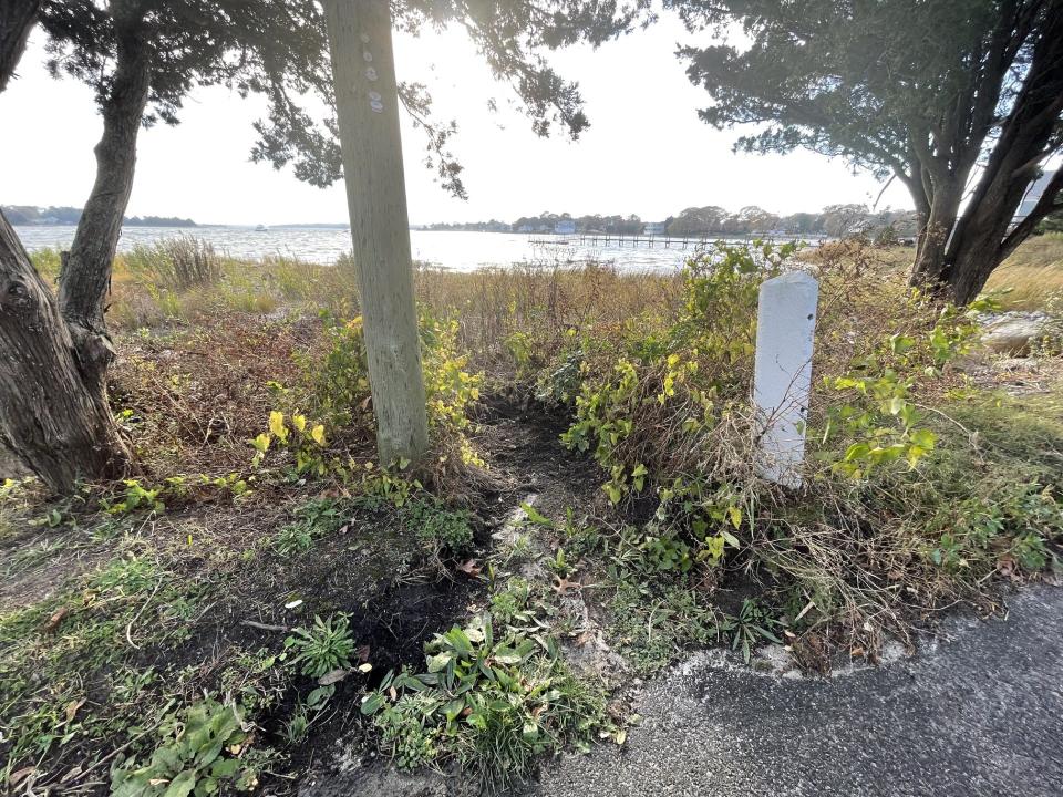 When water runs off the slope bordering Bourne's Hen Cove, it rushes into the cove, which is already filled with contamination. This is one of the locations where the Pocasset Clean Water Coalition wants to create one of three rain gardens.