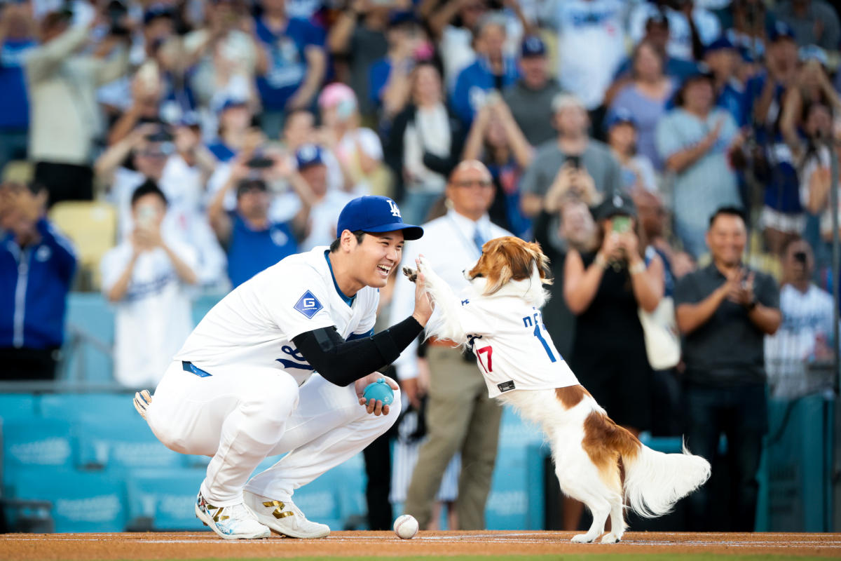 Shohei Ohtani bobblehead night: Dodgers star makes MLB history after catching first pitch from his dog