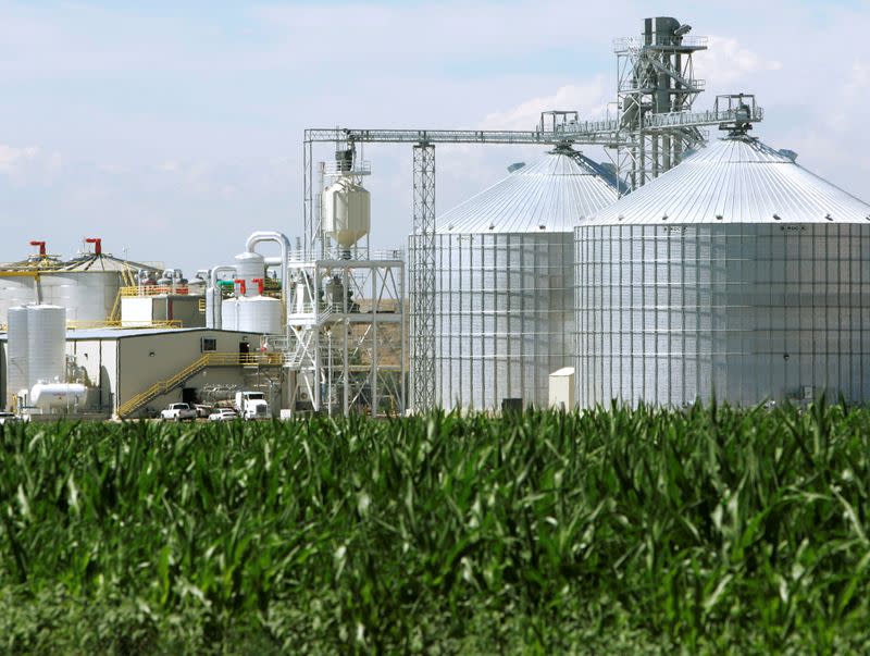 FILE PHOTO: The Front Range Energy ethanol plant with its giant corn silos next to a cor..