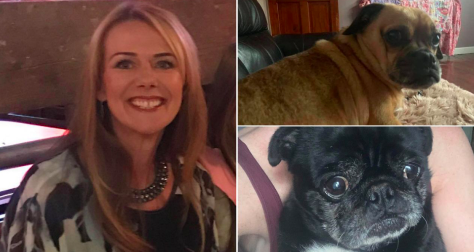 Dog walker Louise Lawford faces prosecution after several pets went missing