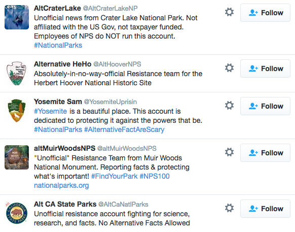 Just some of the ‘rogue’ resistance accounts that popped up (Twitter)