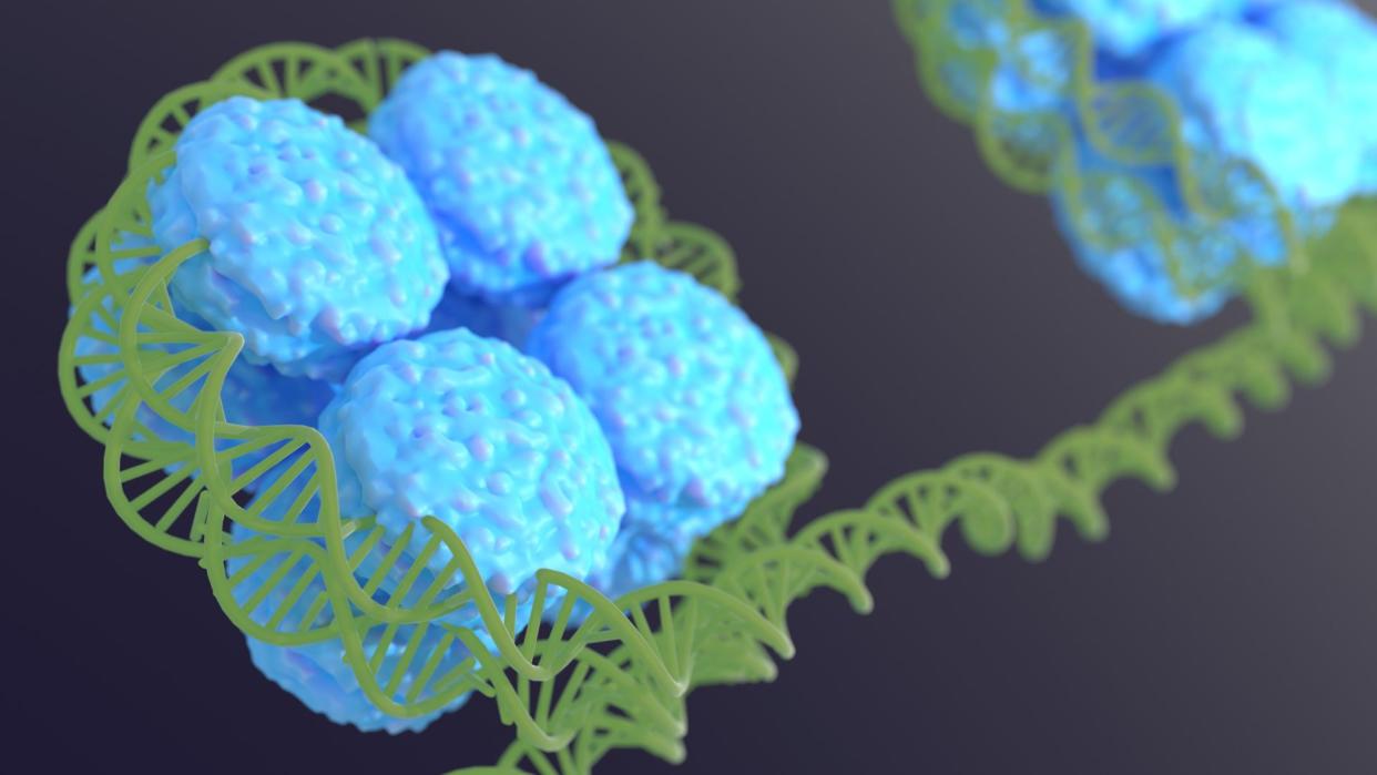  illustration shows long dna molecule depicted in green wrapped around puffy, blue cylinders, representing histones 