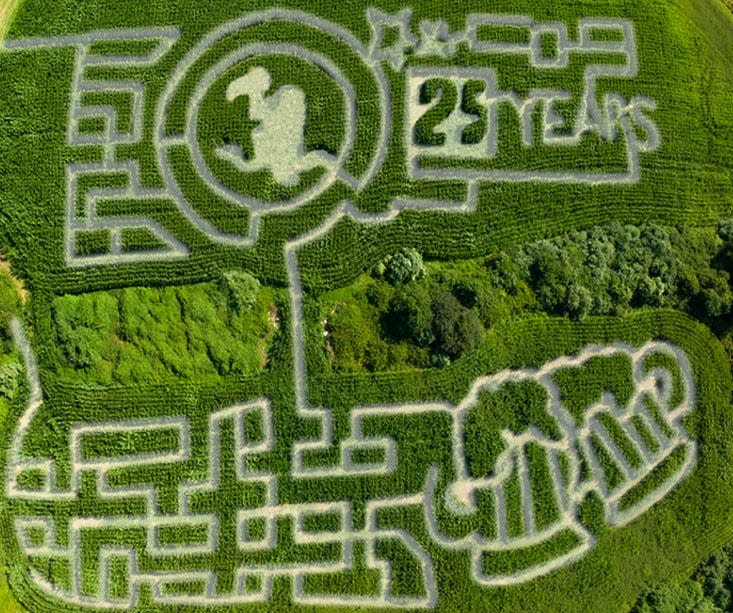 The corn maze at Buzzards Bay Brewing, 98 Horseneck Rd., Westport.