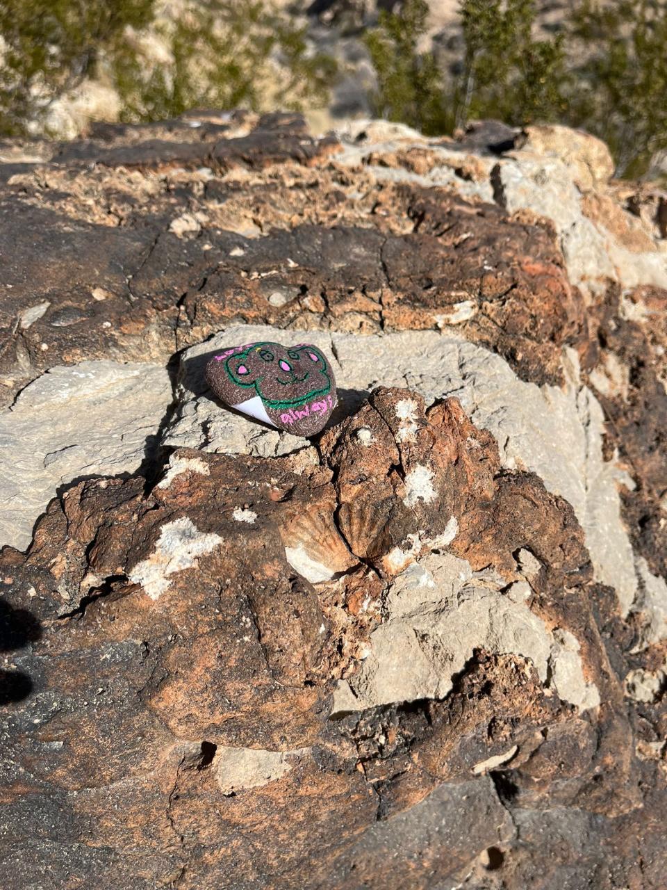 A rock sitting on a stone at the Red Rock Canyon outside of Las Vegas