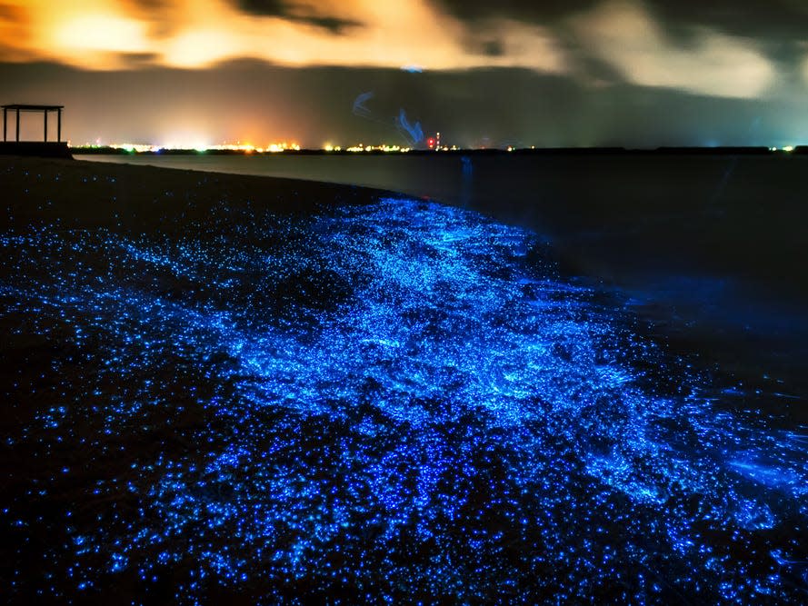 Maldives glowing beach