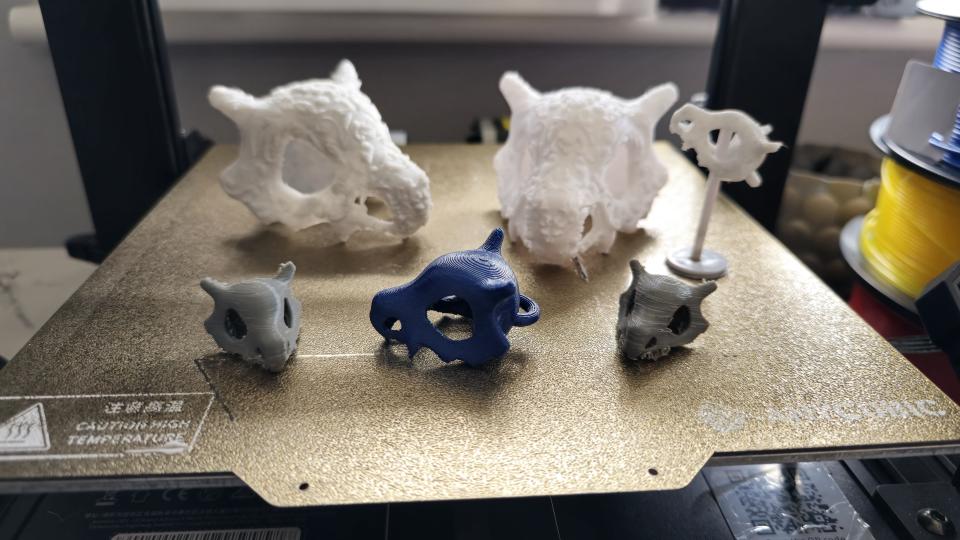 3D printed Pokemon