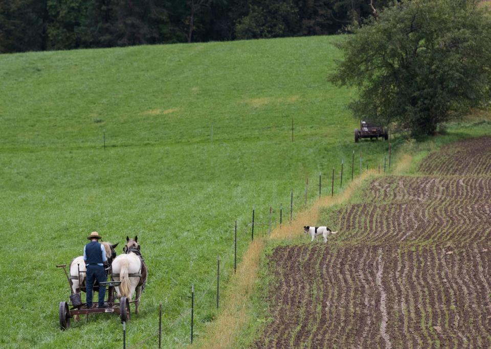 An Amish farmer makes his way to work on a fence along Highway D between Cashton and La Farge.