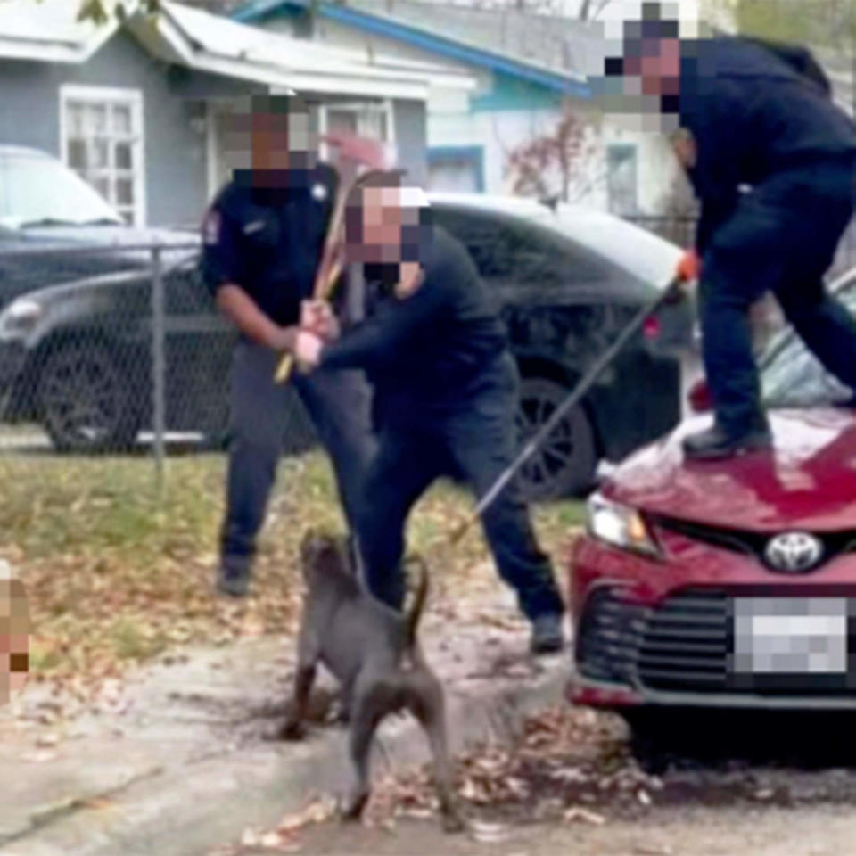 Firefighters defend themselves from a dog that was involved in a deadly dog attack in San Antonio, last year. (Courtesy WOAI/KABB)