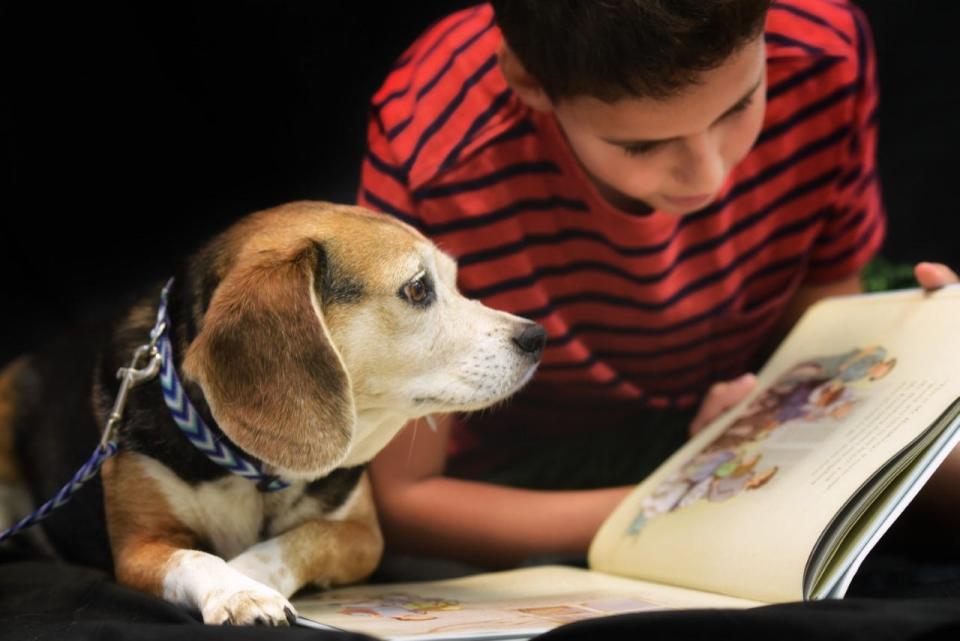 Therapy dogs from Creature Comfort Pet Therapy participate in read-aloud programs with children at libraries and schools in Central and Northern New Jersey.