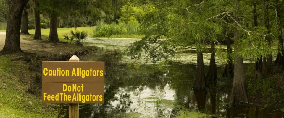 Avery island, Louisiana