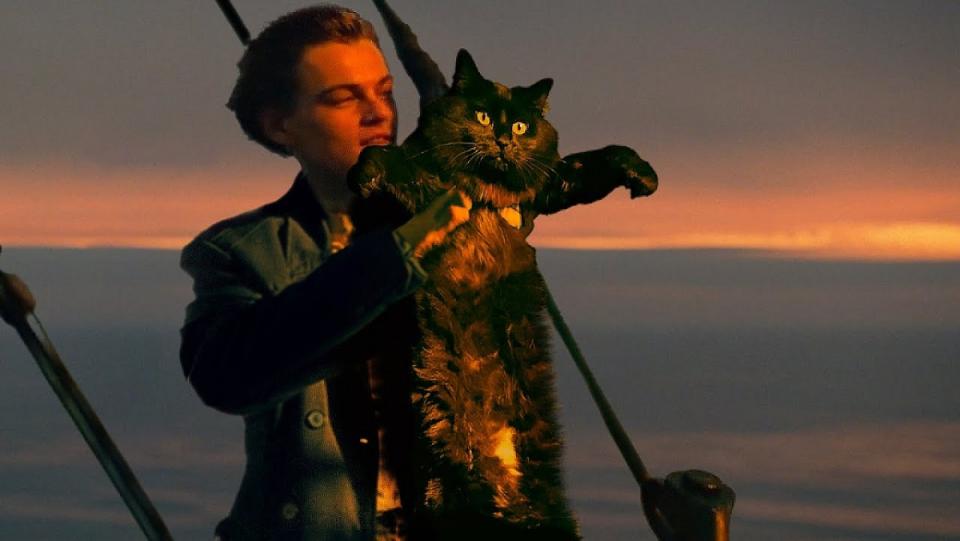 OwlKitty is the King of the World in this Titanic redo.