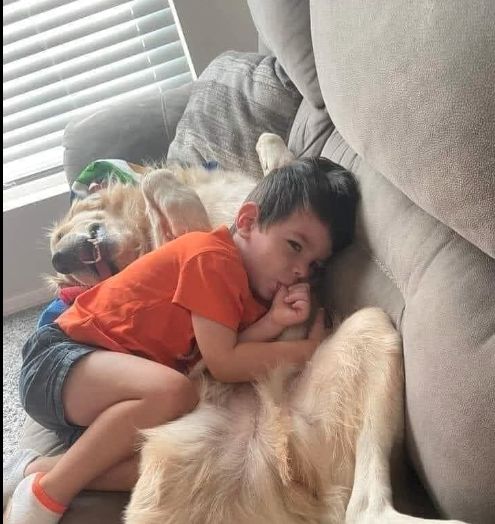 A screengrab of the fake photo circulating statewide of a missing autistic boy and his dog.