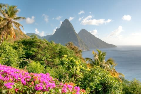 St Lucia is one of the Caribbean's most beautiful isles - Credit: Wildroze/Wildroze