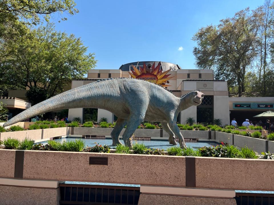 dinosaur attraction at animal kingdom in disney world