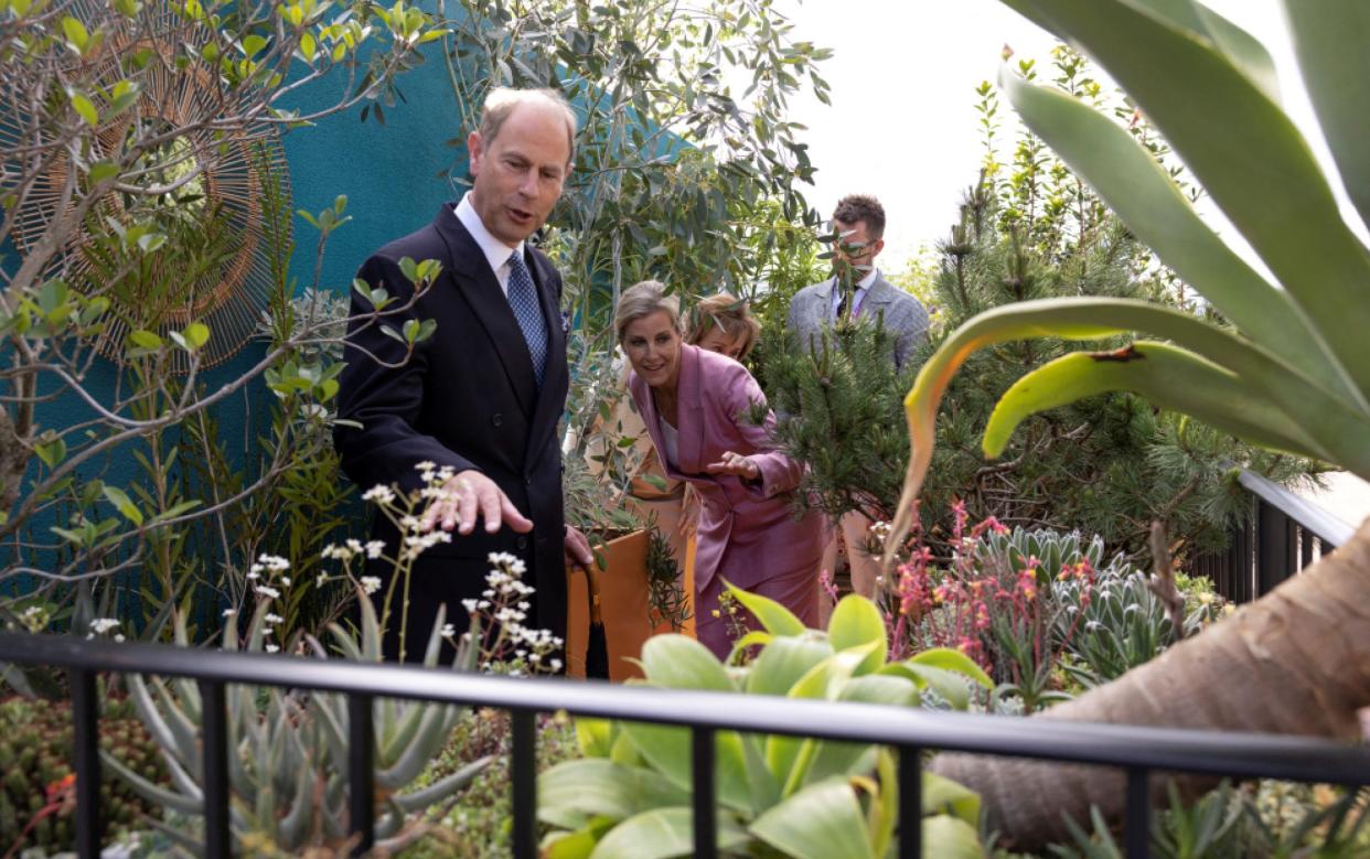 chelsea flower show - Reuters