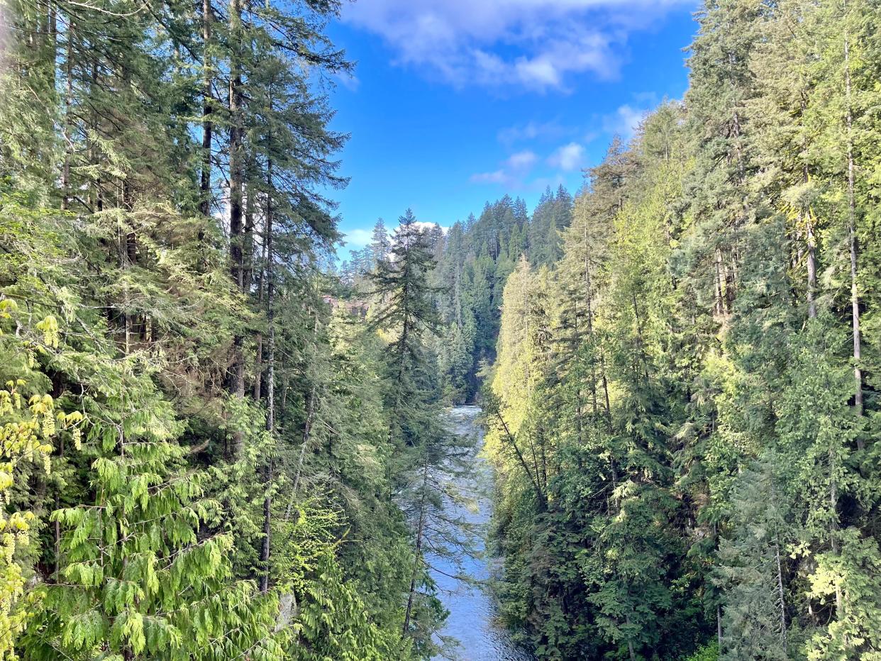 View from Capilano Suspension Bridge