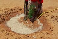 The Wider Image: Senegalese plant circular gardens in Green Wall defence against desert