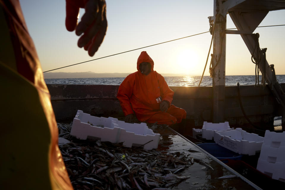 The sun rises as Francesco selects fish quality aboard Marianna, early Thursday morning, during a fishing trip in the Tyrrhenian Sea, April 2, 2020. Italy’s fishermen still go out to sea at night, but not as frequently in recent weeks since demand is down amid the country's devastating coronavirus outbreak. For one night, the Associated Press followed Pasquale Di Bartolomeo and his crew consisting of his brother Francesco and another fishermen, also called Francesco, on their trawler Marianna. (AP Photo/Andrew Medichini)