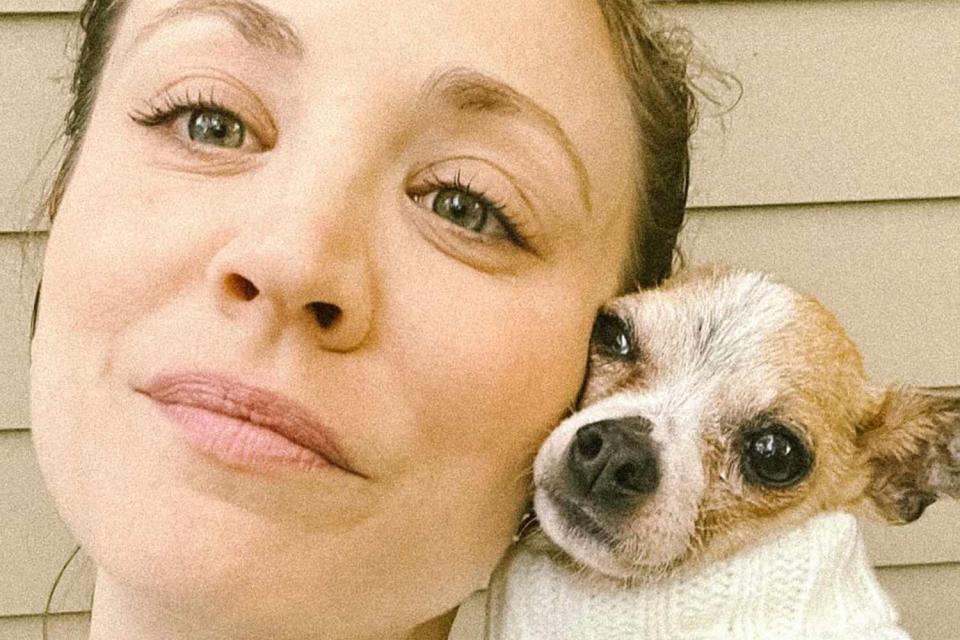 <p>Kaley Cuoco Instagram</p> Kaley Cuoco and her pet dog King