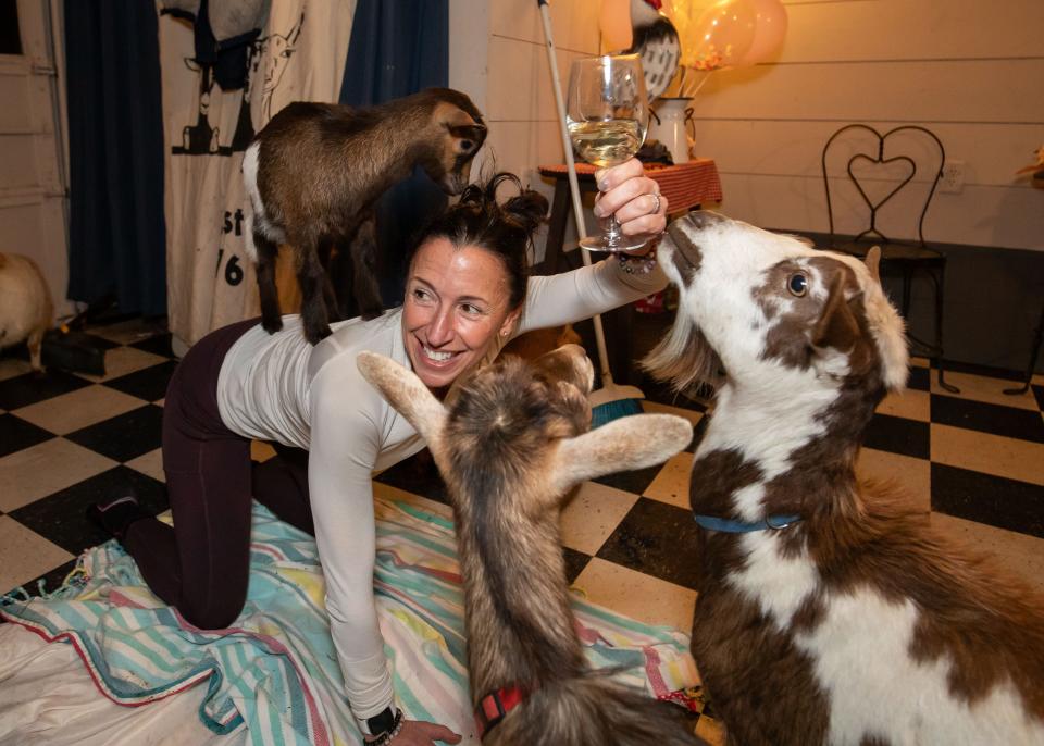 Laura Azevedo of Stratham performs yoga while drinking a glass of white wine and entertaining three goats at the Wine-yasa Goat Yoga night at Legacy Lane Farm in Stratham.