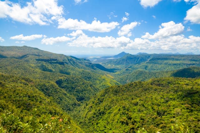 Black River Gorges National park