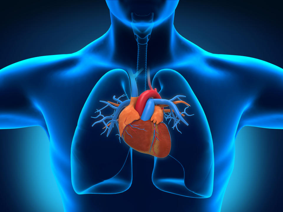 Pulmonary circulation was first described in the 13th century