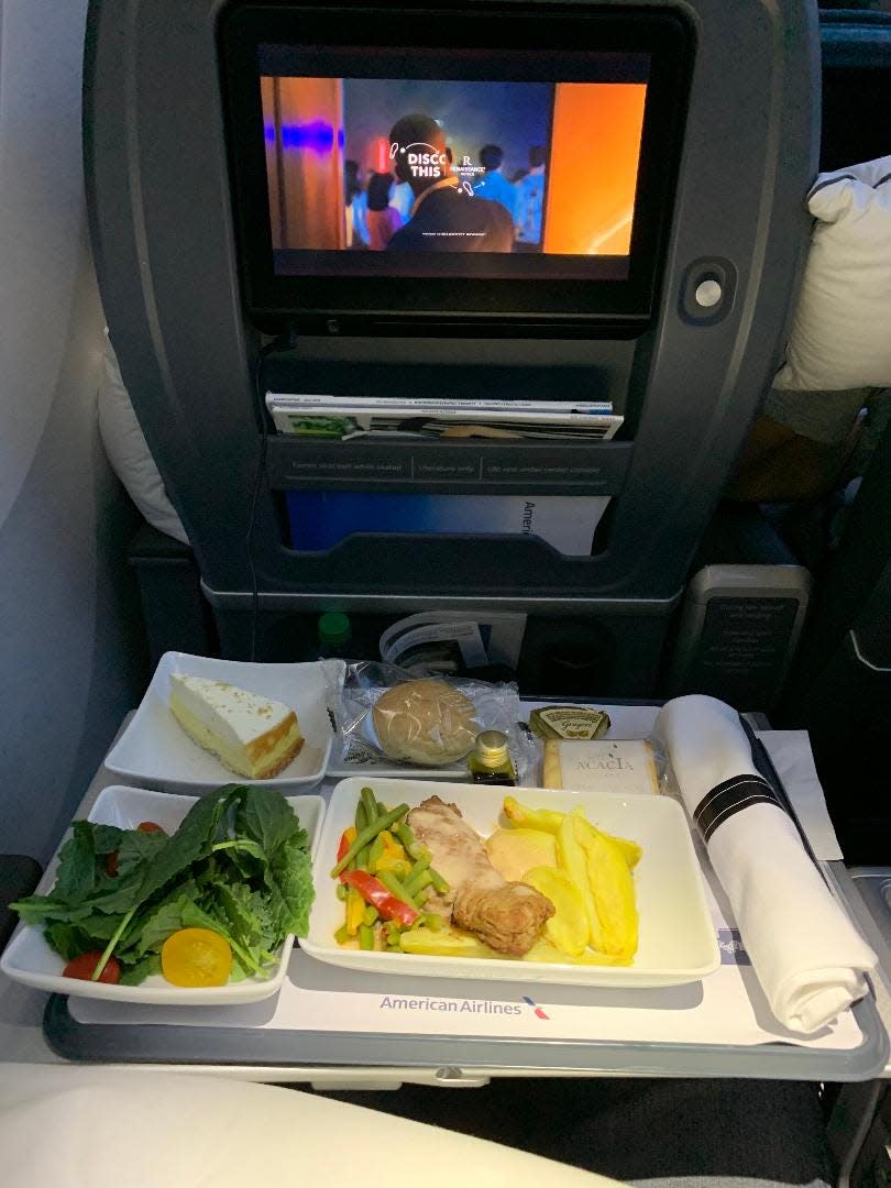 international plane meal