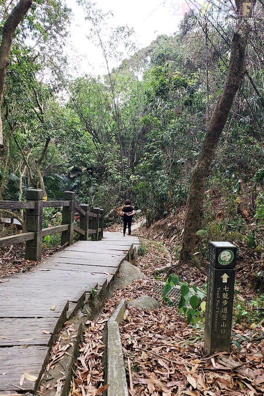 台中大坑六號七號登山步道