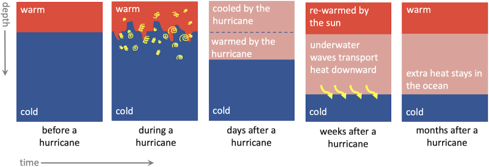 These illustrations show what happens to ocean heat before, during, after and many months after a hurricane passes over the ocean. Sally Warner, <a href="http://creativecommons.org/licenses/by-nd/4.0/" rel="nofollow noopener" target="_blank" data-ylk="slk:CC BY-ND;elm:context_link;itc:0;sec:content-canvas" class="link ">CC BY-ND</a>