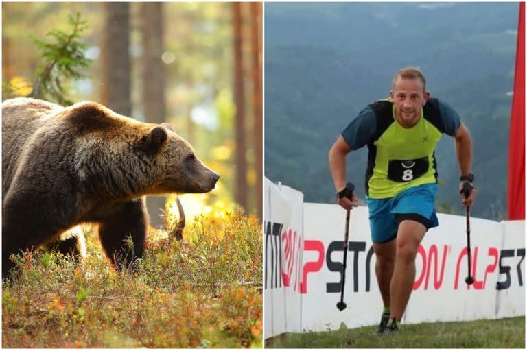 El ataque del osos sucedió en el pueblo Caldes al moreste de Italia