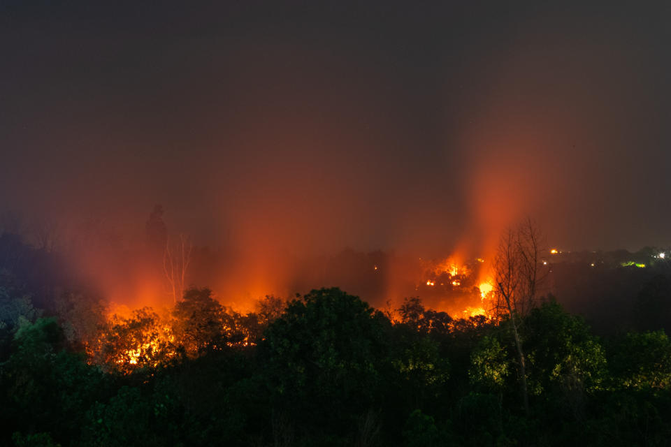 A forest fire in Riau Province, Indonesia, on March 1, 2020. These fires have been a mostly human-made problem for decades as much of it arises from the clearing of forests for more palm oil plantations. (Photo: Afrianto Silalahi/NurPhoto via Getty Images)