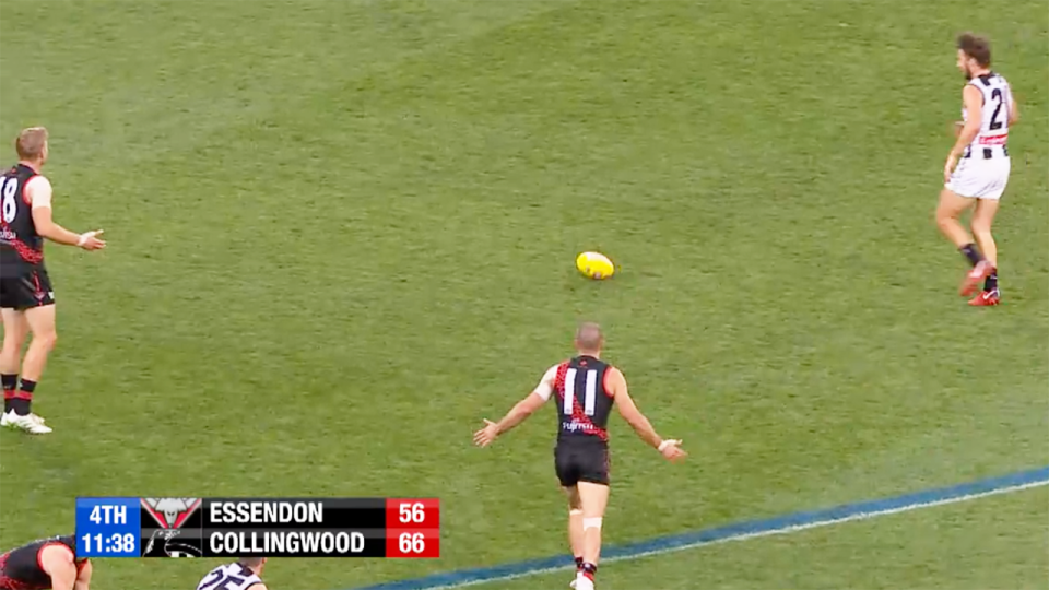 Everyone stopped. Image: Fox Footy