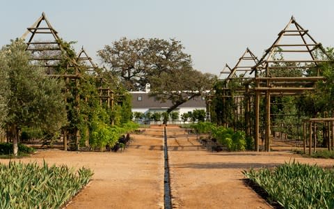 babylonstoren, south africa - Credit: CACTUS BRANDING