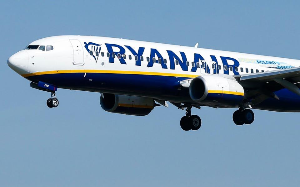 A Ryanair plane - PAU BARRENA /AFP