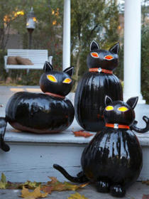 Pumpkin Cats