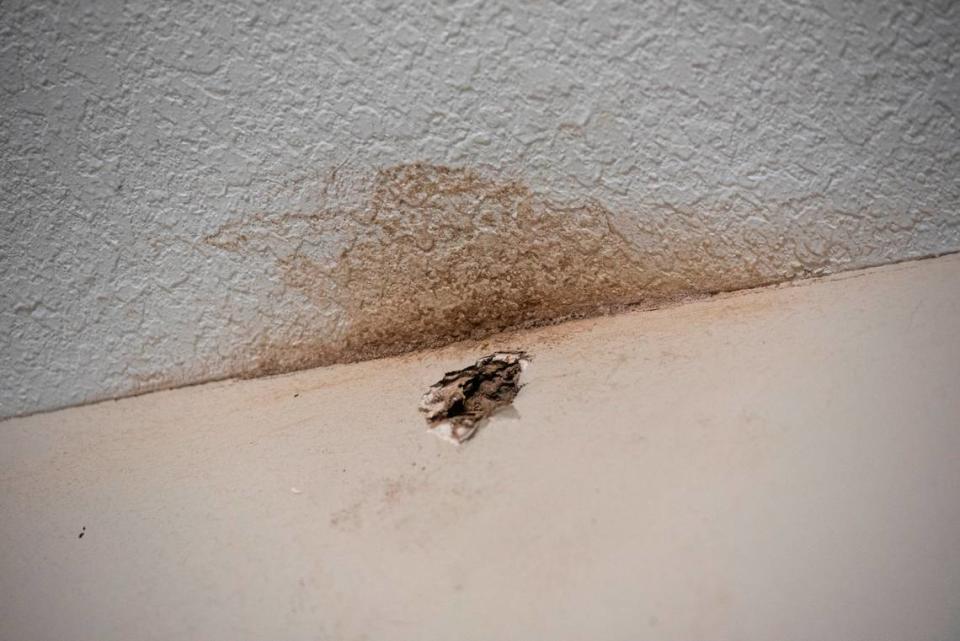 A hole caused by termites in the garage in Teresa Teague’s home in Biloxi on Thursday, March 14, 2024. The brown water stain was the first clue that led the Teagues to discover a portion of their roof had been improperly installed, she said.