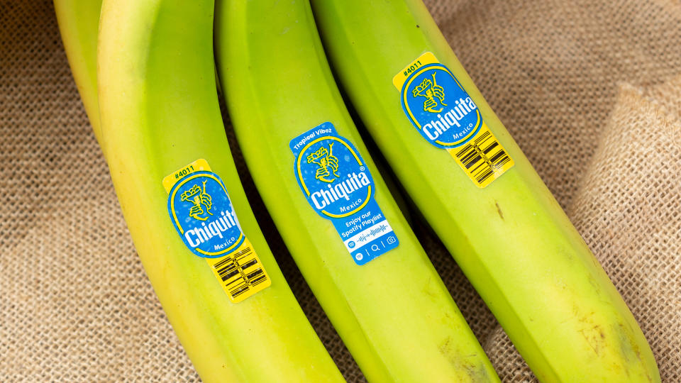 Los Angeles, California/United States - 05/05/2020: A view of a green unripened banana bunch with Chiquita brand stickers.
