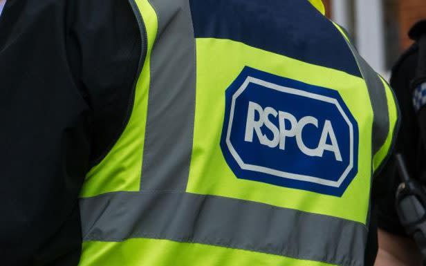 The RSPCA has become embroiled in a row over an alleged 