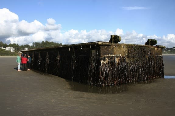 100 Tons of 'Alien' Sea Life Wash Up With Tsunami Dock