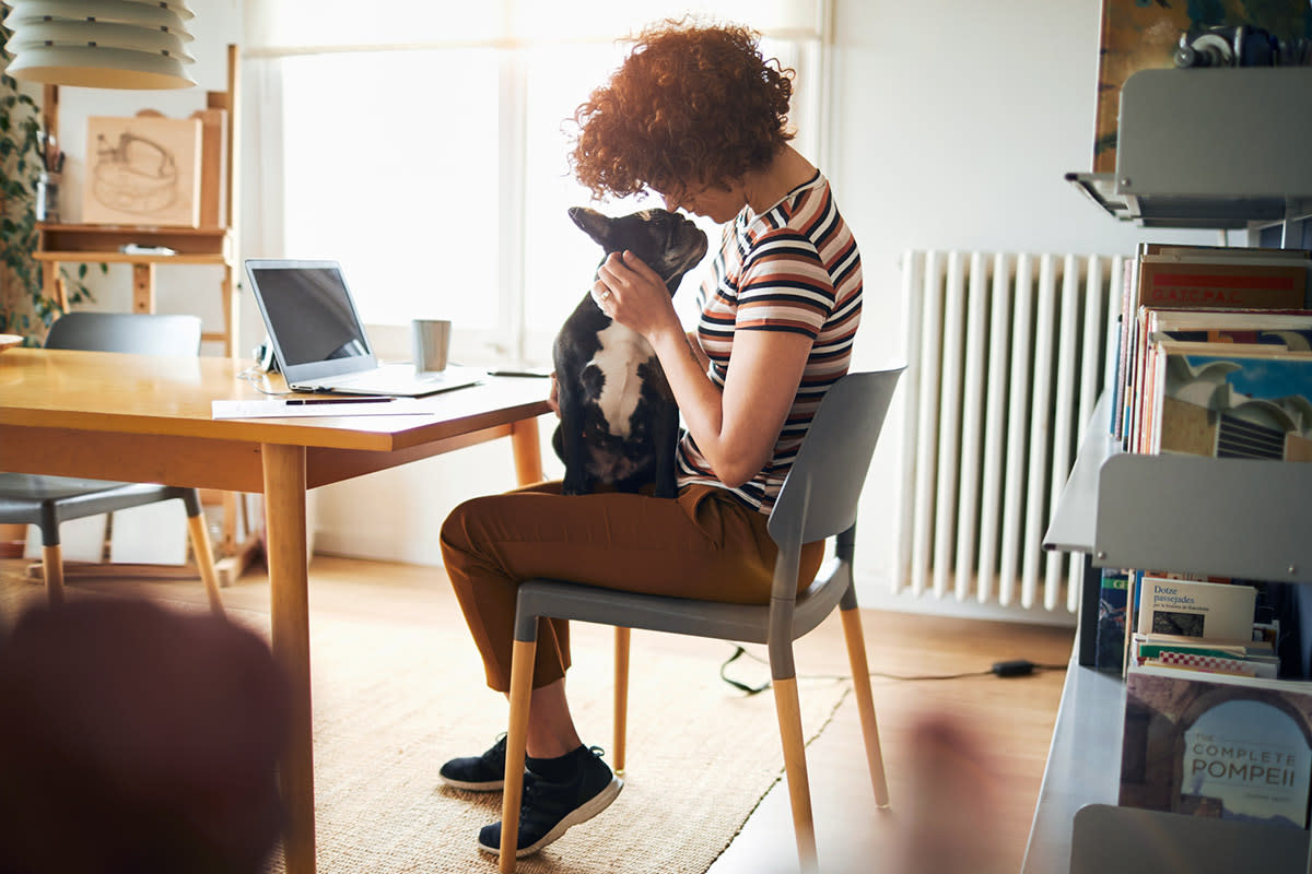 A young woman pets her dog, who is sitting in her lap, while working on her laptop at home.