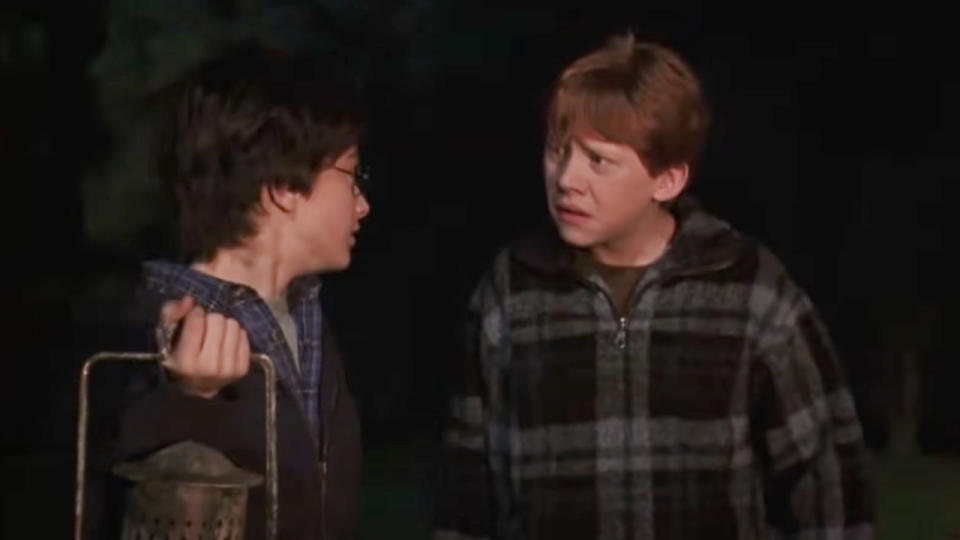 Harry and Ron in Harry Potter and the Chamber of Secrets.